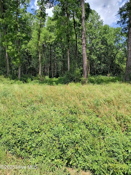 Lot B Tyree, Kinston, NC 28504