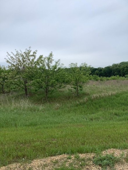 Lot 15 792nd Ave, River Falls, WI 54022