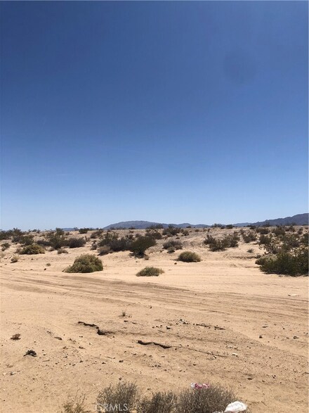 71440 Palmyra, Twentynine Palms, CA 92277