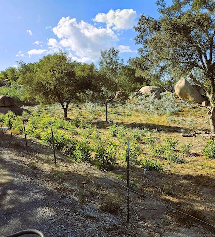 2562 Donnil Ln Unit 102-081-05-00, Fallbrook, CA 92028