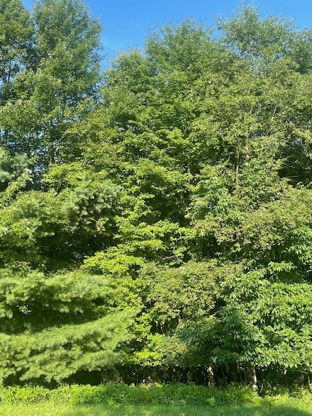 0 E Carlton Rd, Carlton, PA 16311