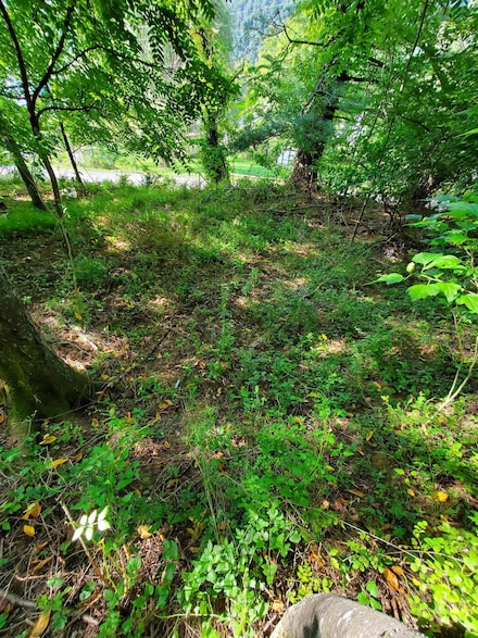TBD Hendricks Hill Rd, Hambleton, WV 26269