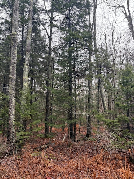 Lot 129 Harpswell Neck Rd, Harpswell, ME 04079
