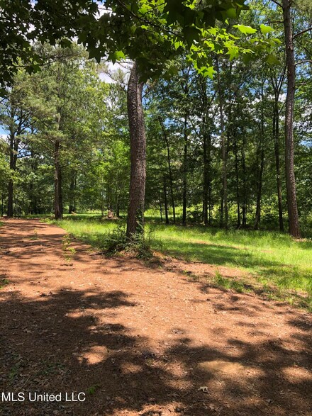 2032 Elizabeth Chapman Dr, Byram, MS 39212