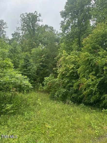 Tbd Laurel Ln, Unicoi, TN 37692