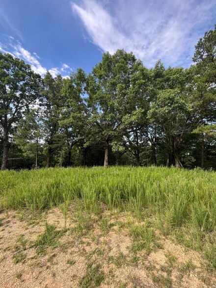 915 Clay 406 Rd, Lafe, AR 72422