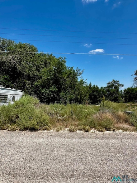 29 E Phoenix Rd, Midway, NM 88230