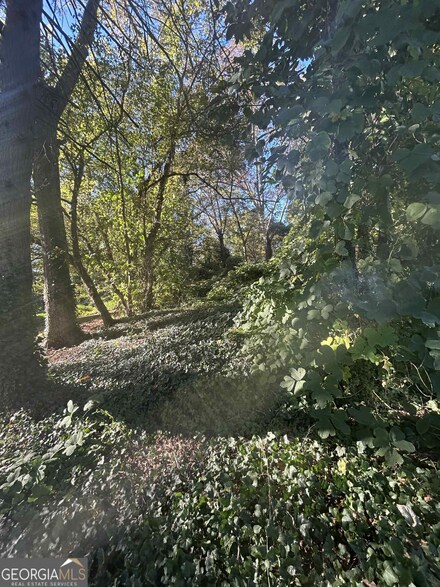 85 Tatum Cir, Ball Ground, GA 30107