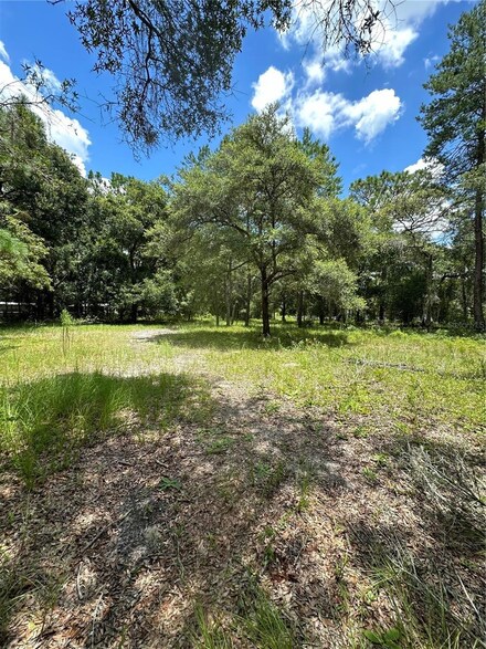 18223 Rigsby Rd, Spring Hill, FL 34610