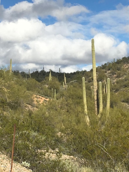86.346 AC. Stonehedge Ranch Rd Unit 6, Wickenburg, AZ 85390