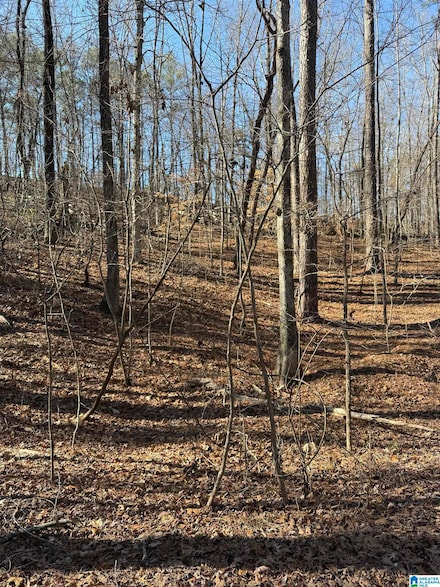 551 Oakmont Dr Unit 3, Alabaster, AL 35007