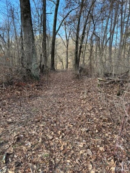 0 E 900 Rd Unit 202403475, Dugger, IN 47848