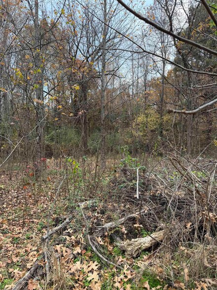 814 E Webb St, Mountain View, AR 72560