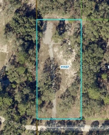 11103 Snow Lark Ave, Brooksville, FL 34614