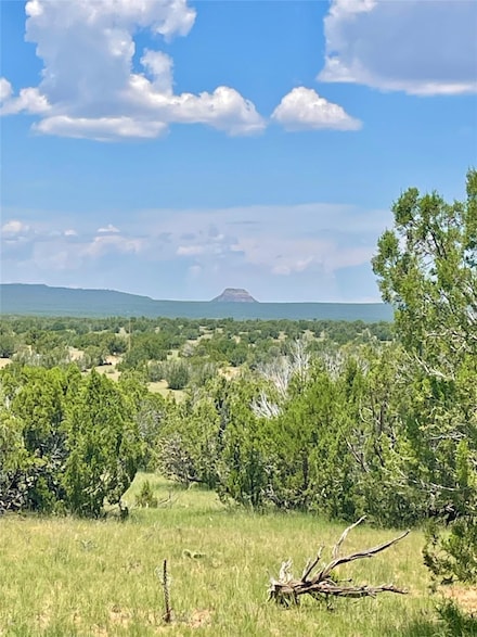 000 County Road B29a, Villanueva, NM 87583