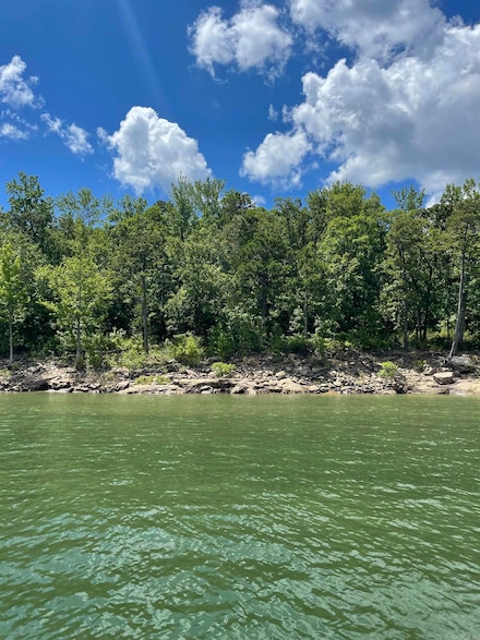 Tract 14 Weldon Rd, Edgemont, AR 72044