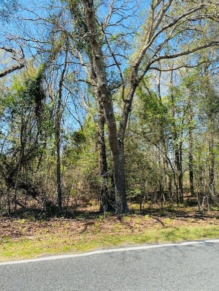 0 Seivern Rd Unit 116323, Wagener, SC 29164