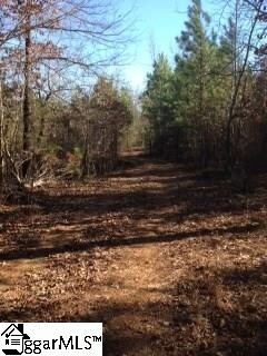 0 Ridge Rd Unit 1312173, Enoree, SC 29335
