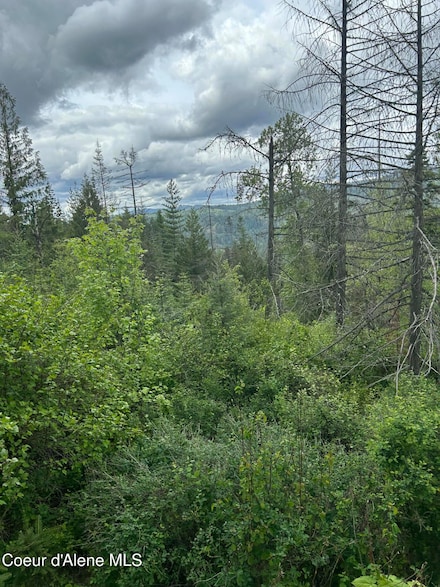 12 Kingston Way, Kingston, ID 83839