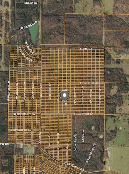1405 Blackberry Ln, Horseshoe Bend, AR 72512