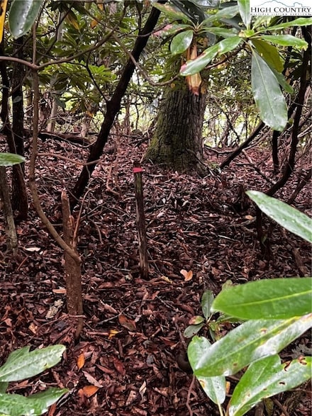 TBD Grandview Dr, Seven Devils, NC 28604