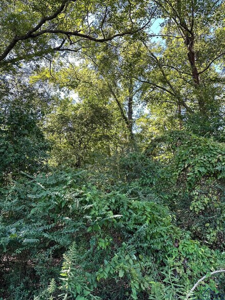 TBD S Friou St, Jefferson, TX 75657