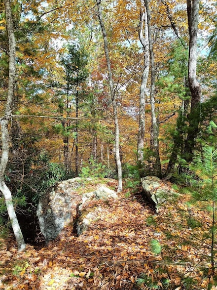 297 Reed Hill Rd NW, Floyd, VA 24091