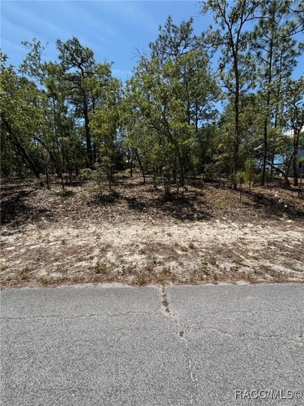 9572 N Akola Way, Citrus Springs, FL 34434