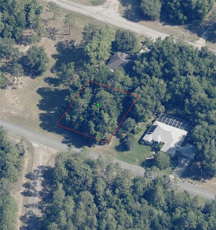 509 W Wason St, Citrus Springs, FL 34434