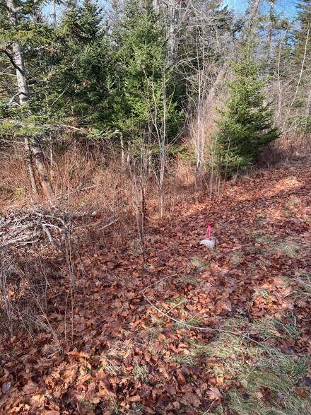 Lot 8 Spruce Head Rd, South Thomaston, ME 04858