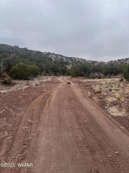 0 201-73-045a Unit 246851, Concho, AZ 85924