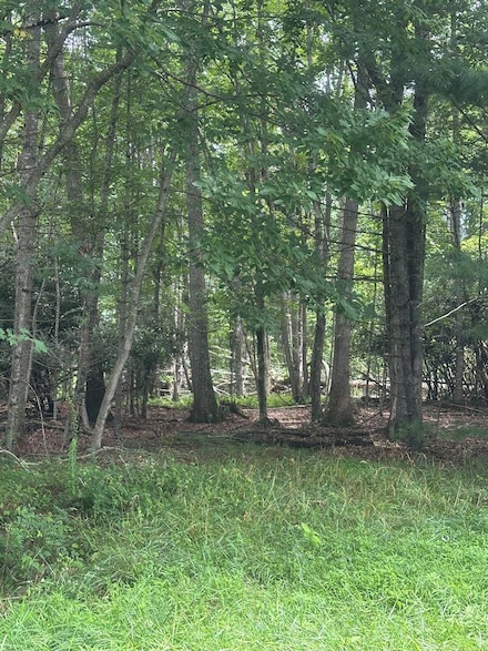 TBD Carsonville Rd, Independence, VA 24348