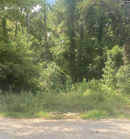 2603 Varn St, Columbia, SC 29203