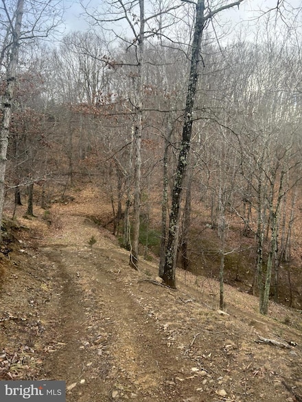 365 Strauter, Franklin, WV 26807