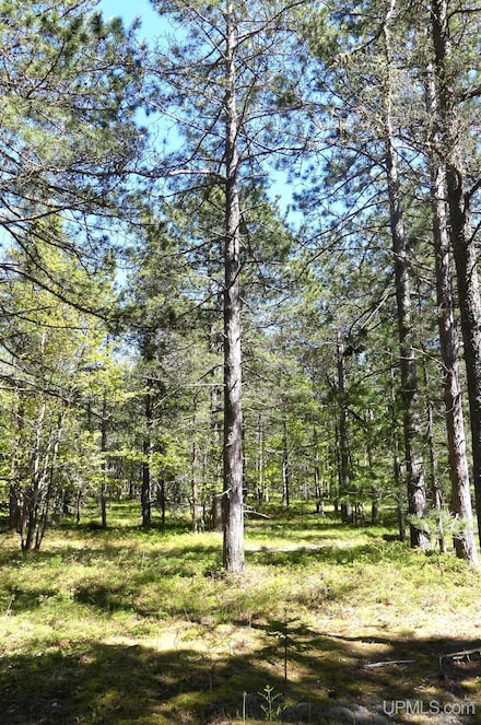 TBD N Afoafos Trail, Grand Marais, MI 49839
