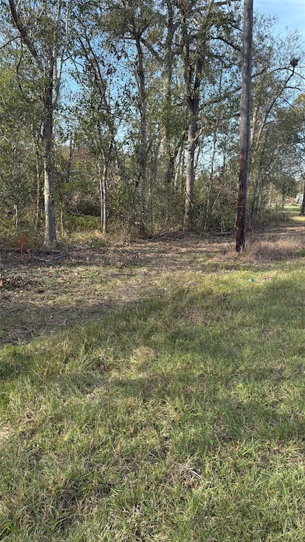 Lot 2 Block 52, Hempstead, TX 77445
