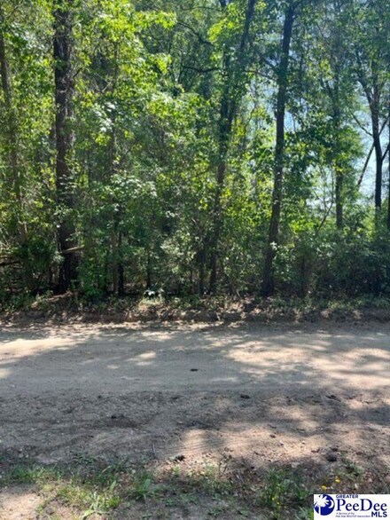 109 Divinity Rd, Darlington, SC 29532