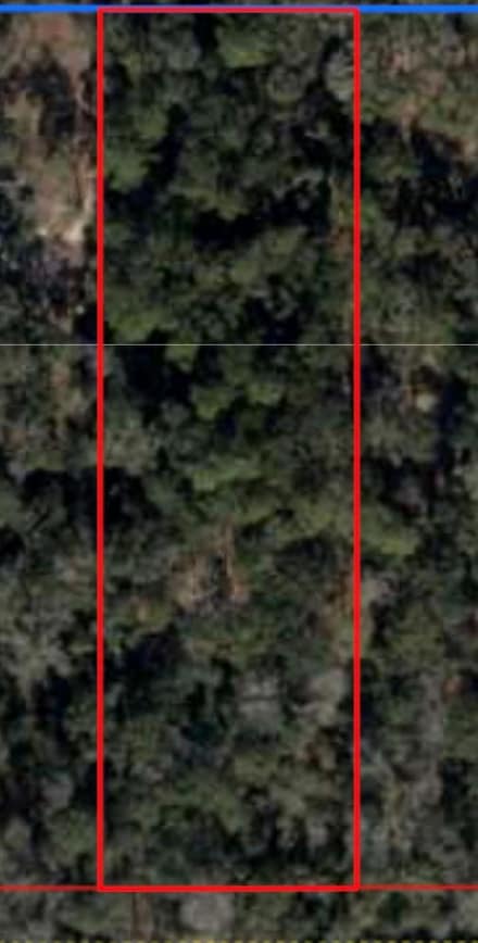 Lot 10 NW 166th Place, Fanning Springs, FL 32693