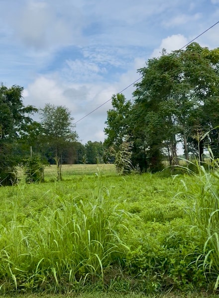 255 Shoals Rd, Rock Island, TN 38581