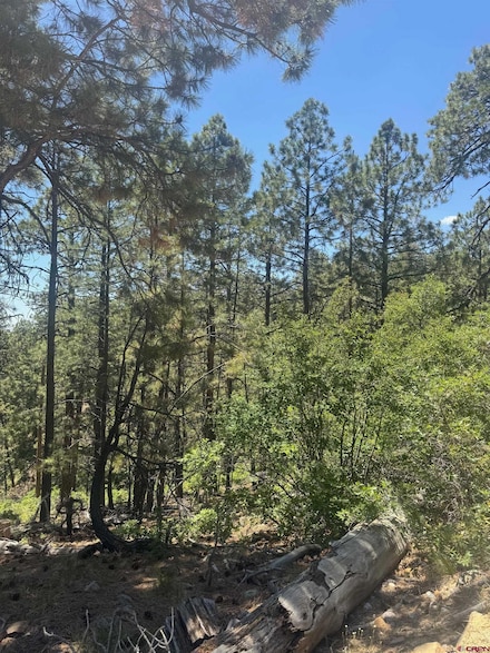 282 Blue Ridge Cir, Bayfield, CO 81122