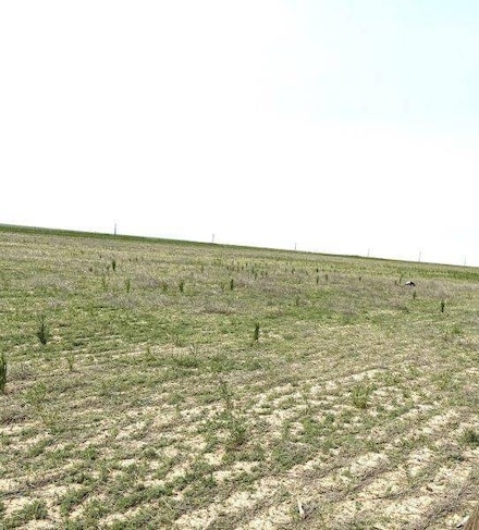 0000 Rd 9, Wild Horse, CO 80862