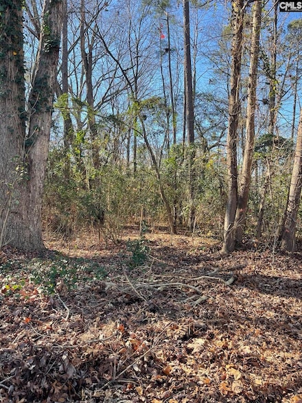 18 Crescent Ln, Columbia, SC 29212