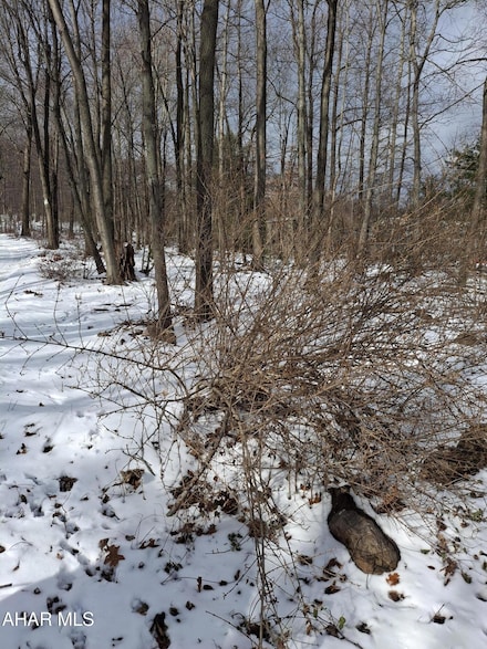 000 Alison Ln, Tyrone Township, PA 16601