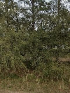 0 Kent Ave, Interlachen, FL 32148