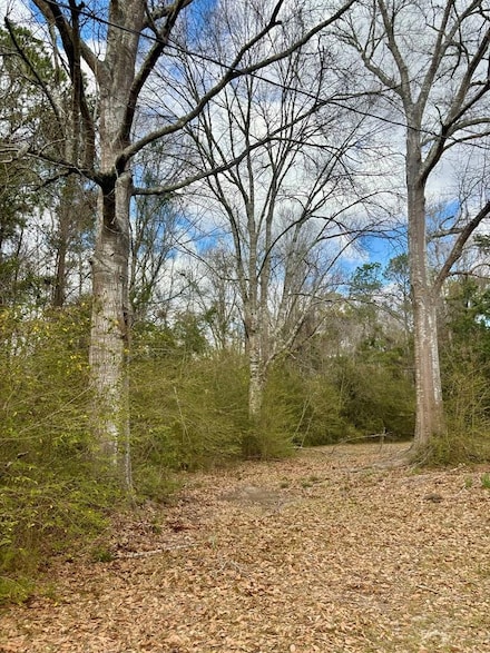 101 Will Thompson Rd, Picayune, MS 39466