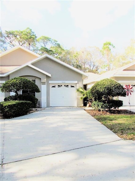 4343 Lakeshore Dr, Palm Harbor, FL 34685