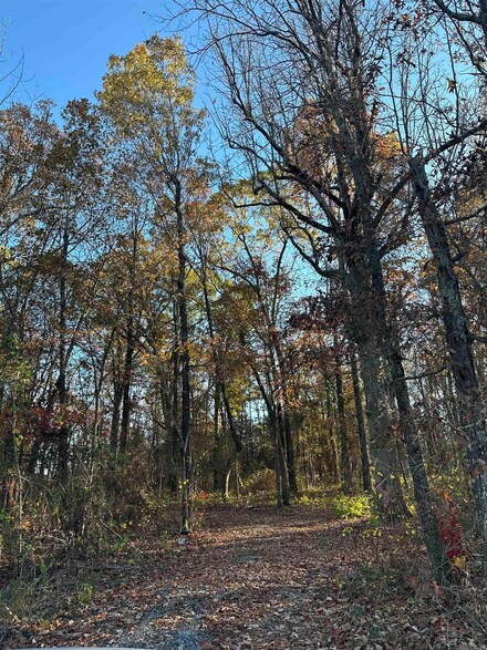 3987 Blackland Rd, Pleasant Plains, AR 72568
