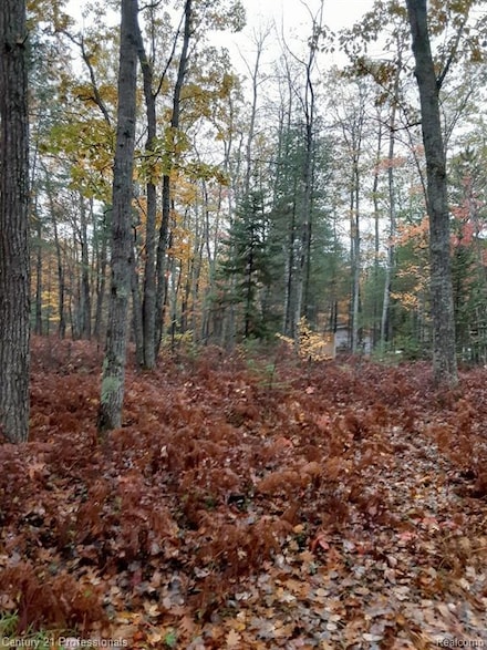 6710 Chippewa Trail, Rogers Township, MI 49779