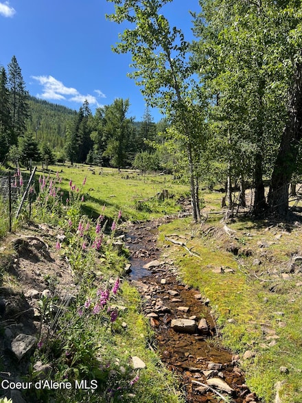 3115 Cherry Creek Rd Unit 83861, Saint Maries, ID 83861
