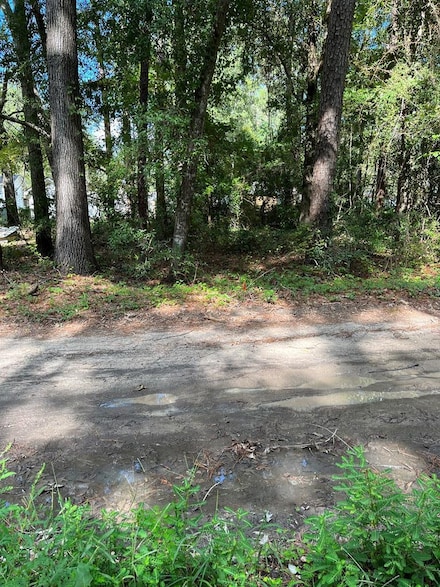 00 Third(3rd) St, Santee, SC 29142